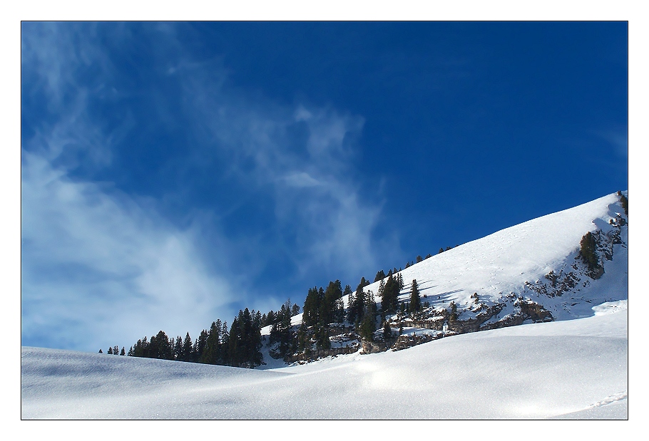 Freiheit in Blau-Weiss