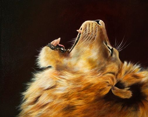 Freiheit... Pride of Africa