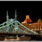 Freiheitsbrücke Budapest 01