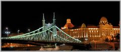 Freiheitsbrücke Budapest 01