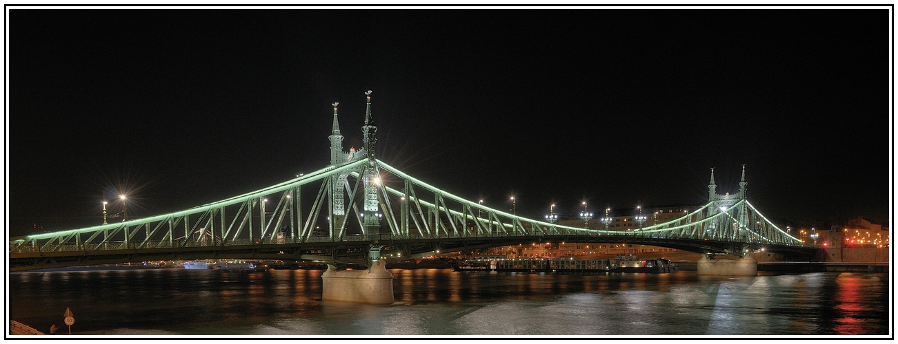 Freiheitsbrücke Budapest 02