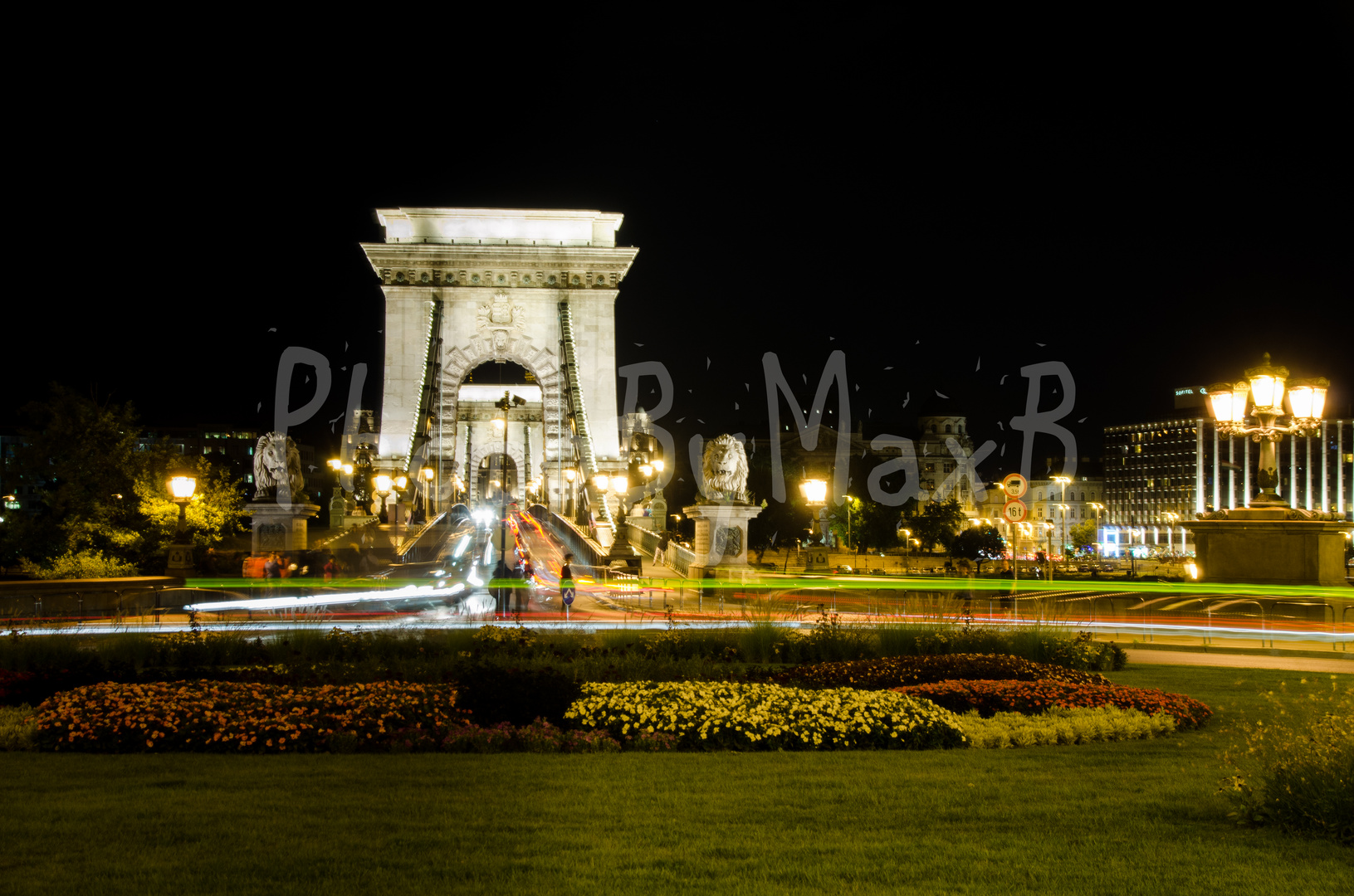 Freiheitsbrücke Budapest bei Nacht 