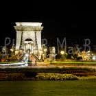 Freiheitsbrücke Budapest bei Nacht 