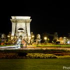 Freiheitsbrücke mit Kreisel bei Nacht