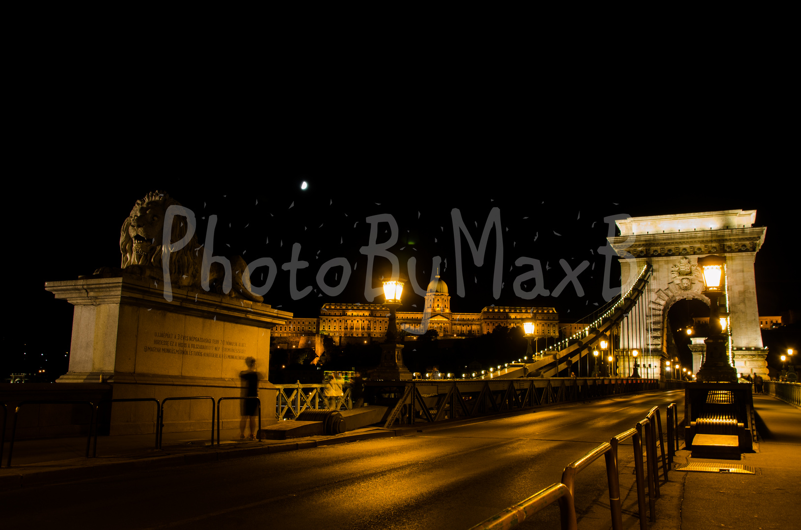 Freiheitsbrücke mit Schloss bei Nacht