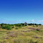 Freiheitsgefühl in der Heide