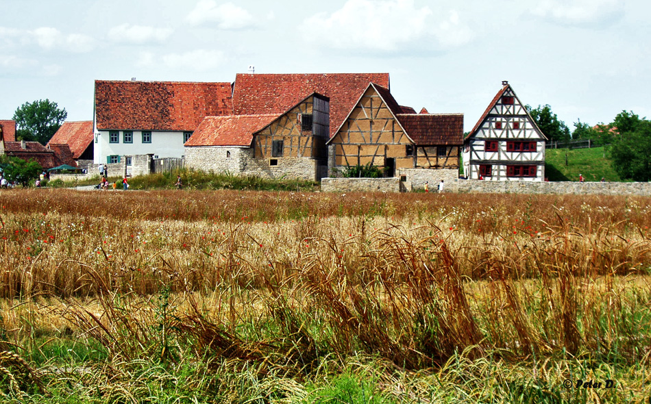 Freilandmuseum Bad Windsheim (11)