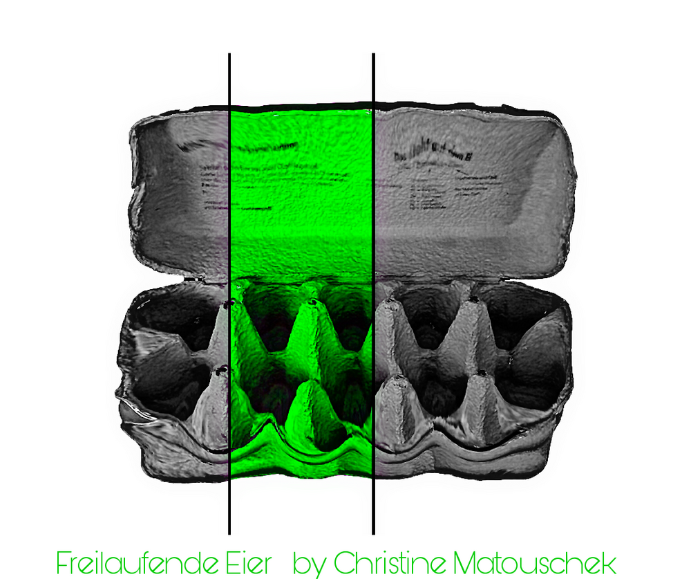 Freilaufende Eier