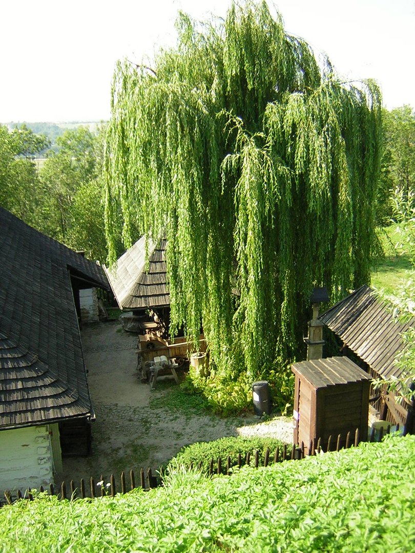 Freilichtmuseum