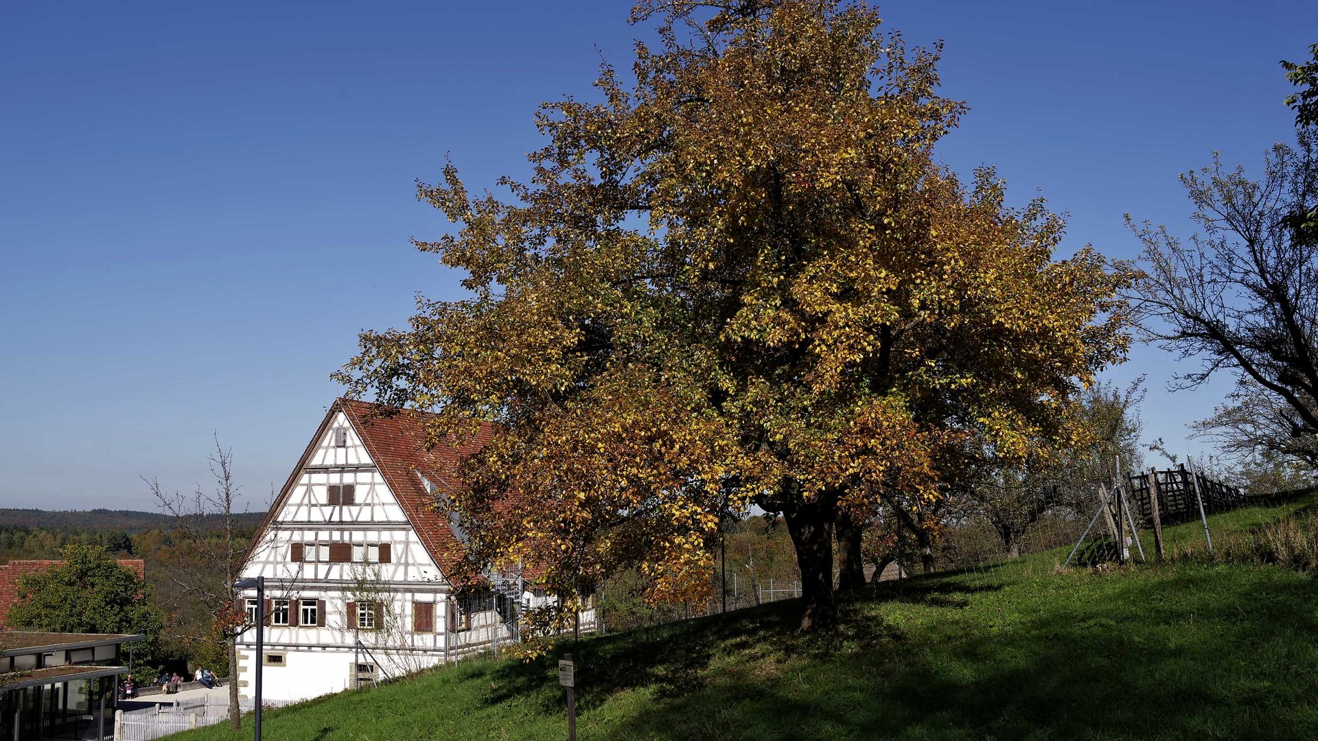 Freilichtmuseum - Beuren