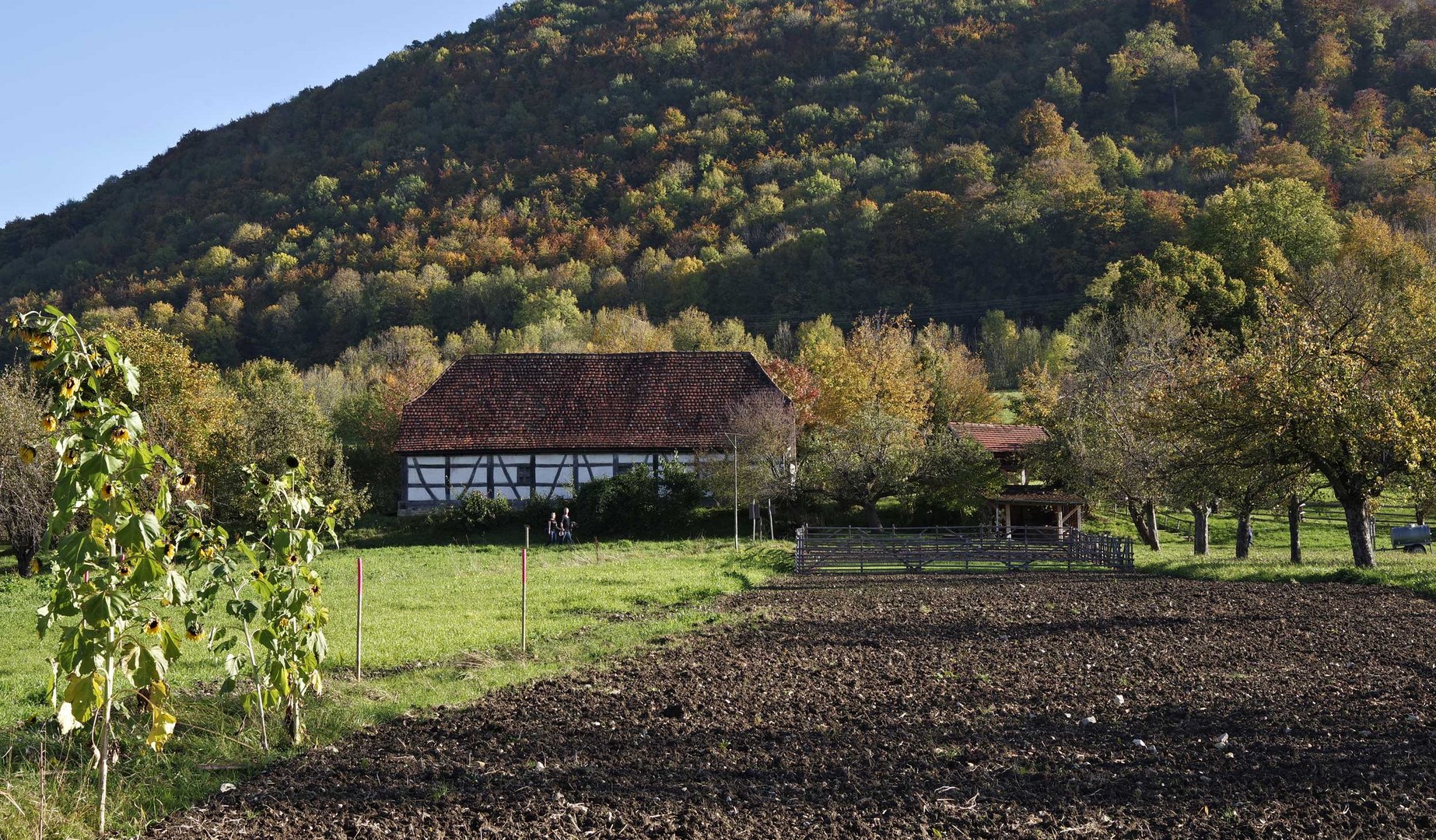 Freilichtmuseum - Beuren