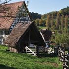 Freilichtmuseum - Beuren