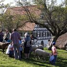 Freilichtmuseum - Beuren