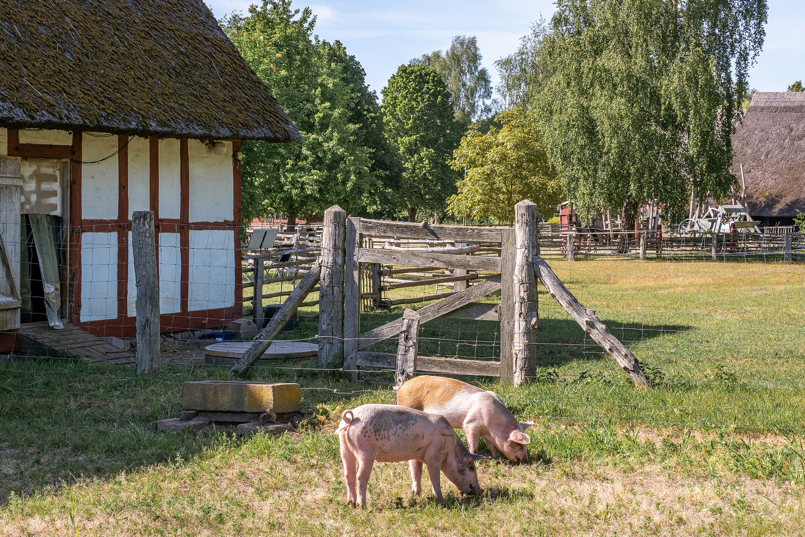 Freilichtmuseum Klockenhagen