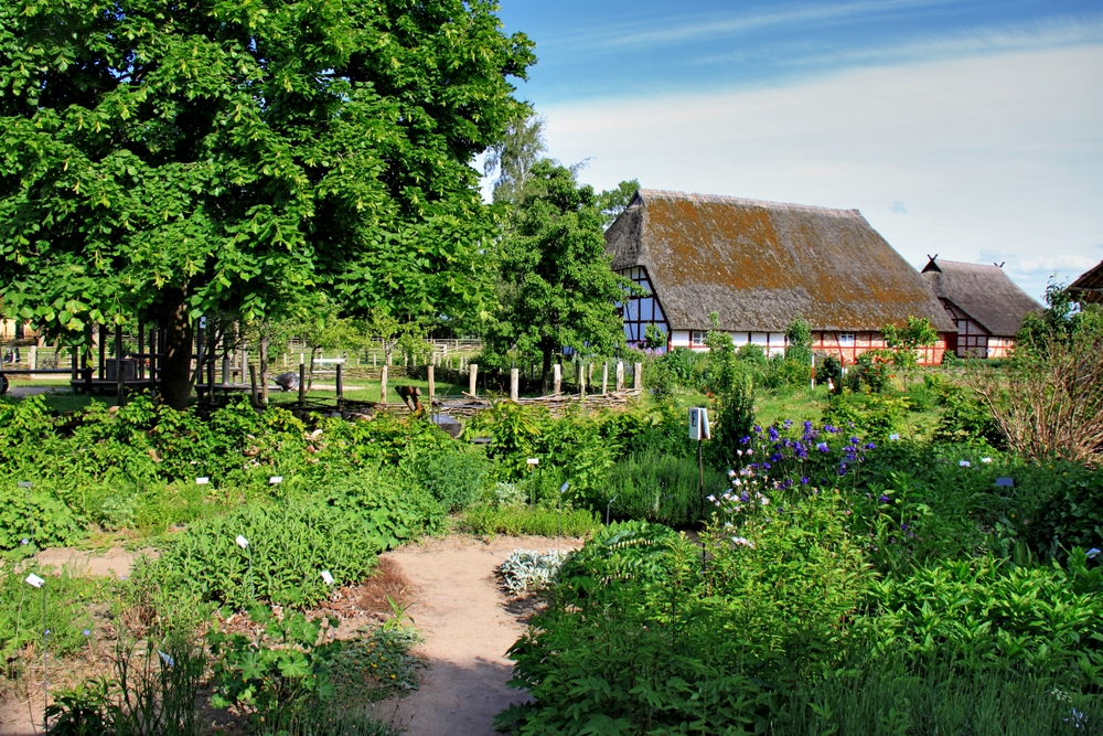 Freilichtmuseum Klockenhagen (5)