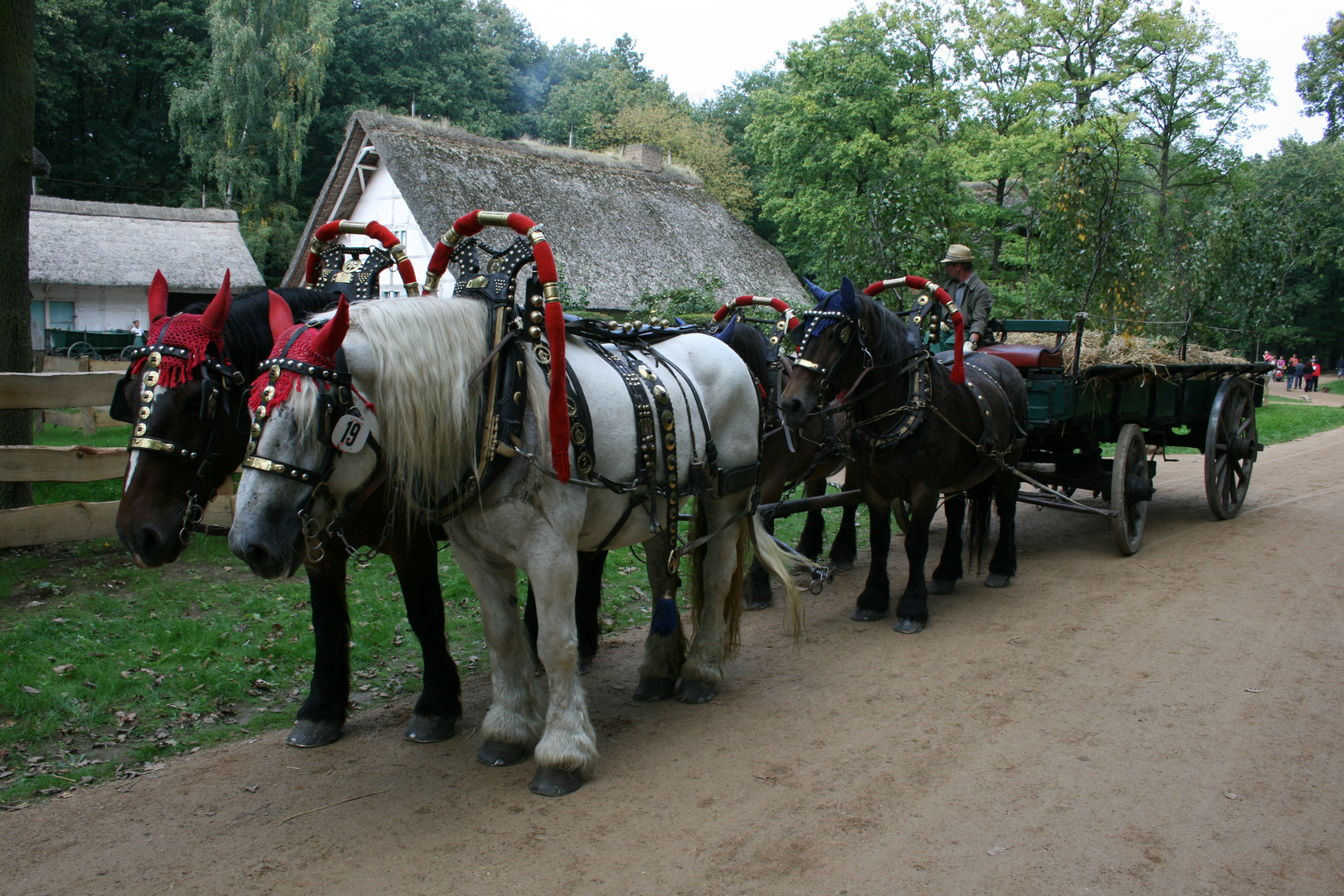 Freilichtmuseum Kommern - Nach der Ernte - Bild 3