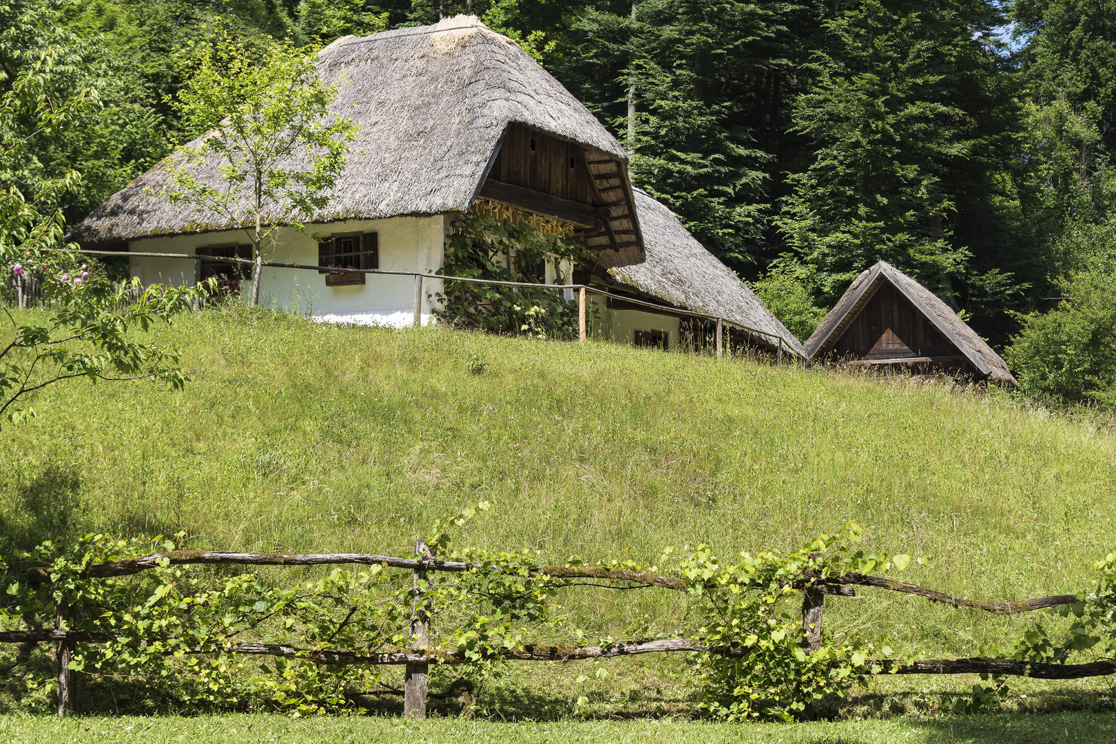 Freilichtmuseum Stübing 08.06.2017