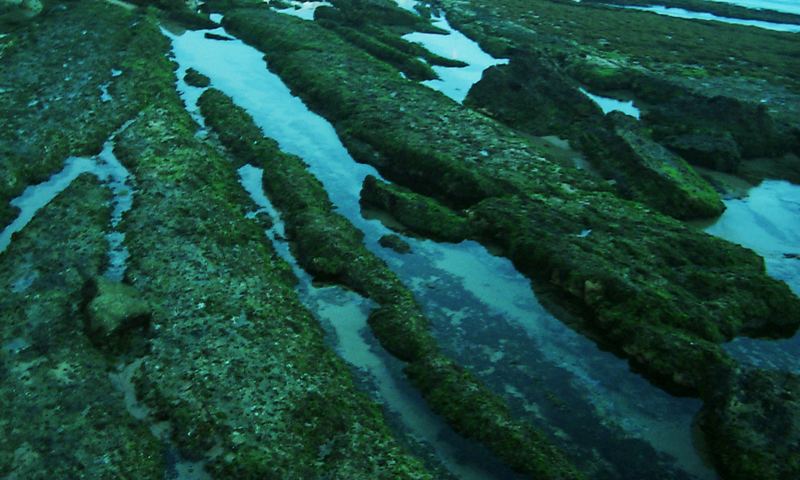 Freiliegende Unterwasserlandschaft