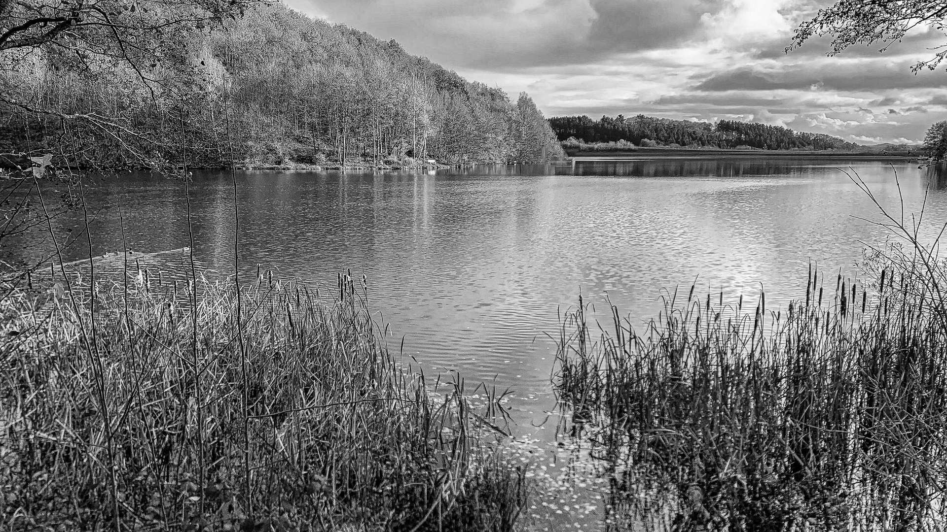 Freilinger See - Fühle die Ruhe