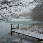 Freilinger See im Winter, Eifel