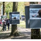 Freiluftausstellung im Schlosspark von Münsingen