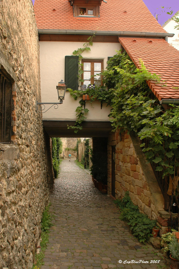 Freinsheim Stadtmauerweg