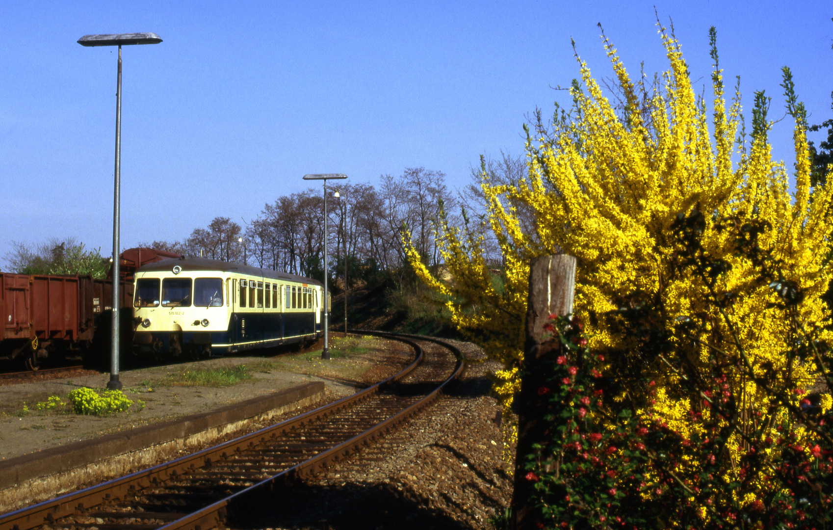 Freinsheim/Pfalz