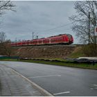 Freischnitt vor Baufortschritt 