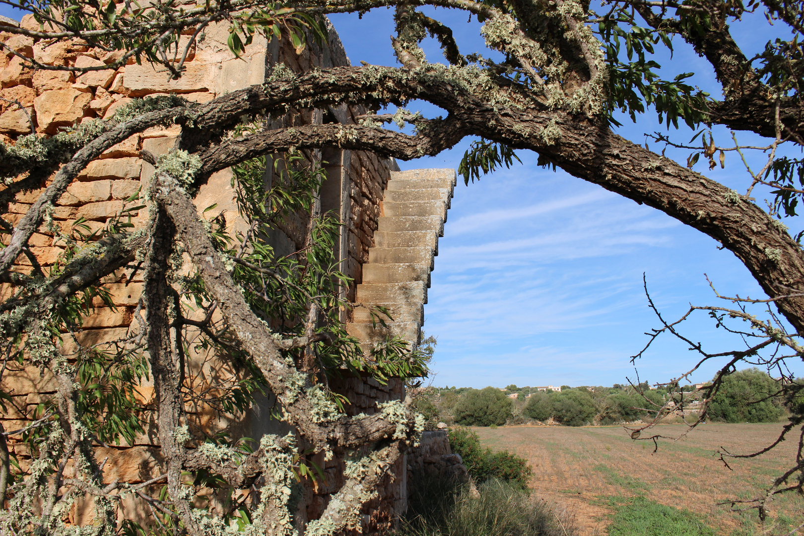 Freischwebende Treppe