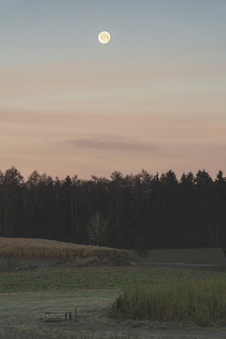 Freising zum Sonnenaufgang