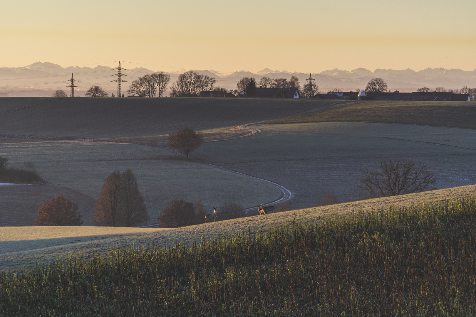 Freising zum Sonnenaufgang