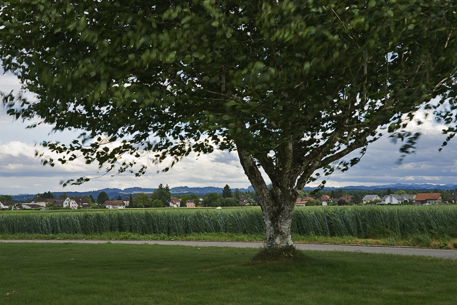 Freistellübung