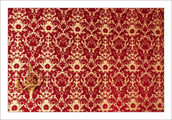 Freistellung des Motivs für Einsteiger