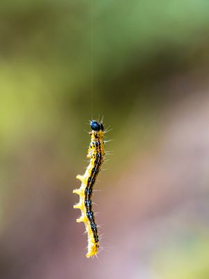 Freitag – Abhängen