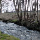 Freitag am Mühlenbach ... 