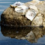 Freitag - Füße waschen!