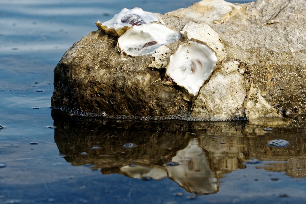 Freitag - Füße waschen!