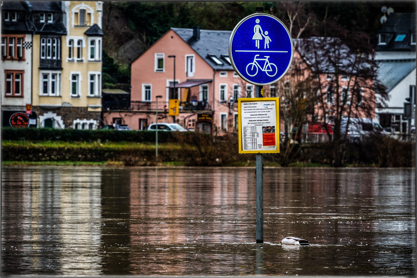 Freitag ist Fischtag 