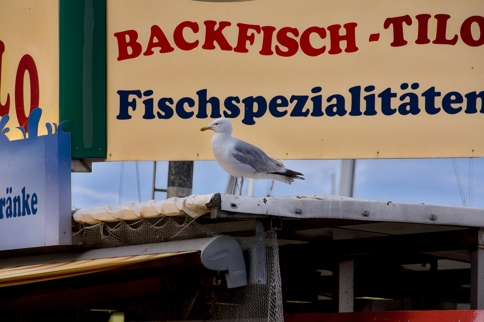 Freitag ist Fischtag...