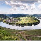 Freitag ist Fischtag im Tal der Ahnungslosen