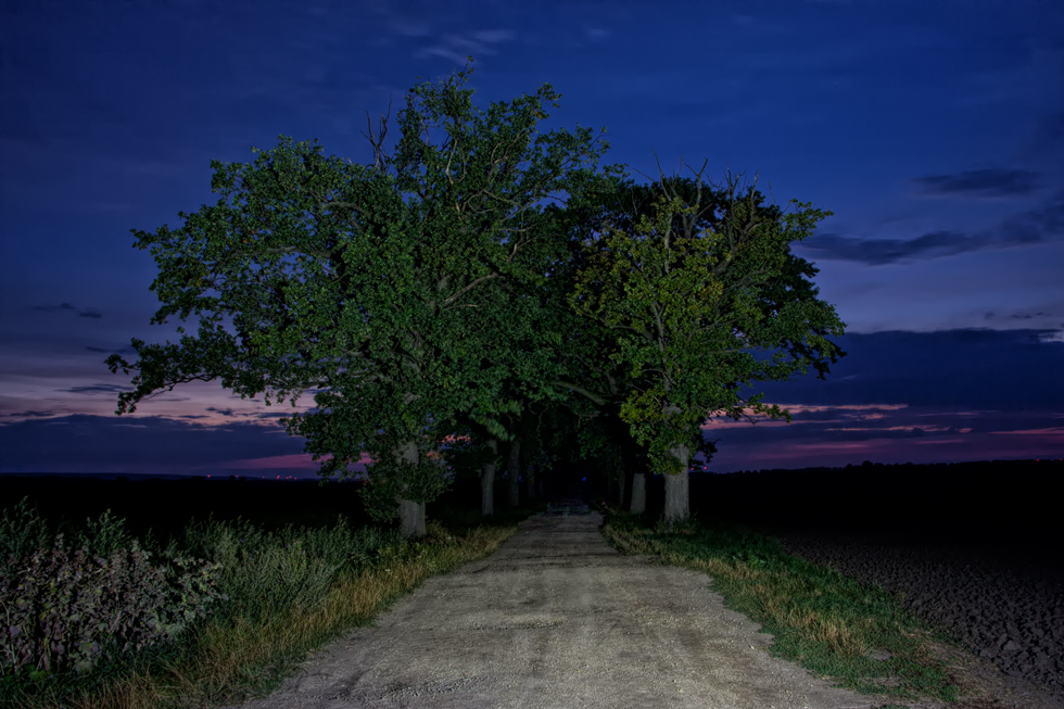 Freitagabend an der Allee...