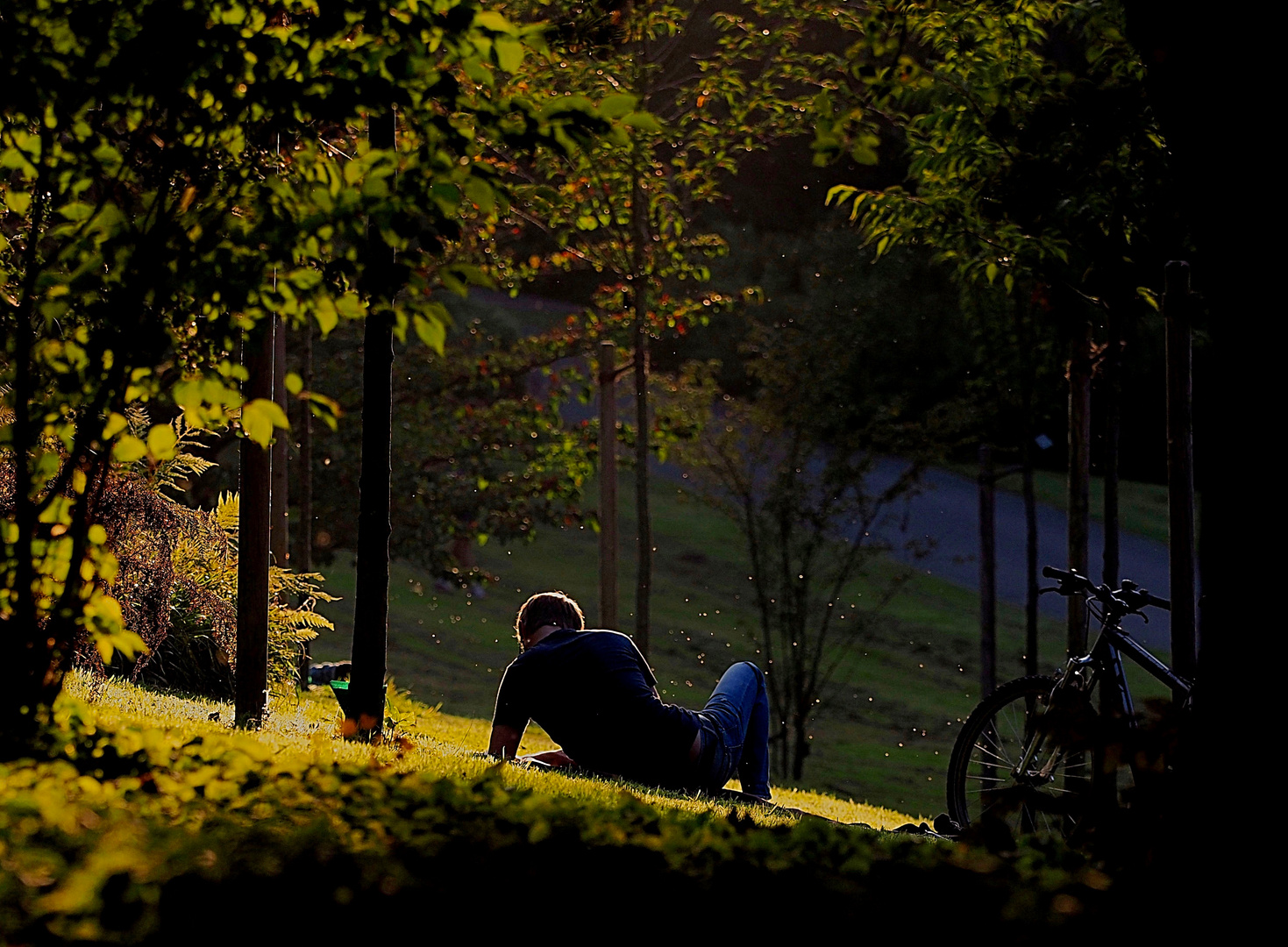 Freitagabend im Park ....