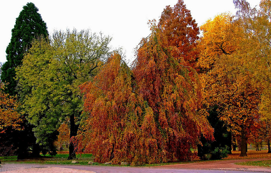 Freitagnachmittag im Stadtpark