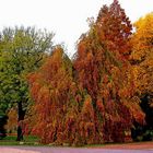 Freitagnachmittag im Stadtpark