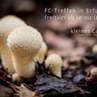 Freitags-Anfrage