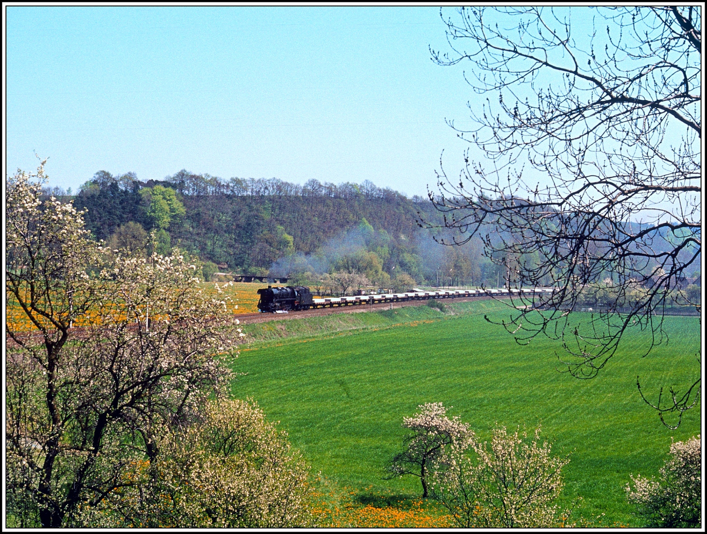 Freitags - Frühlingsfoto