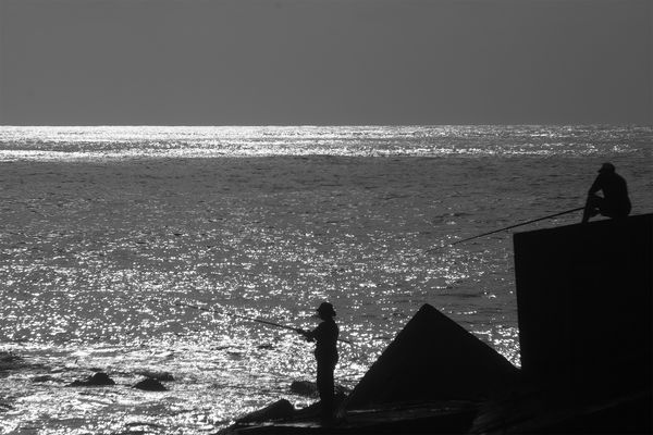 Freitags gibt es Fisch....