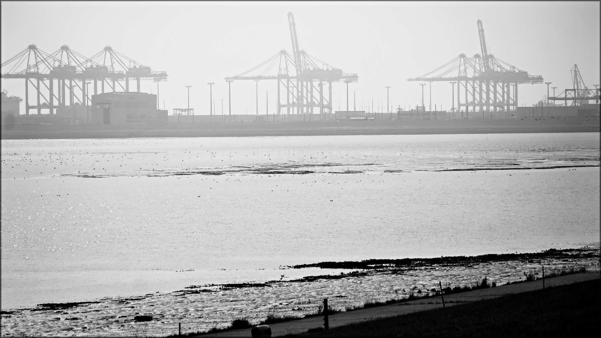 Freitags halb zehn in Deutschland Foto & Bild hafen, sw, watt Bilder auf