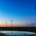 Freitags im Windpark