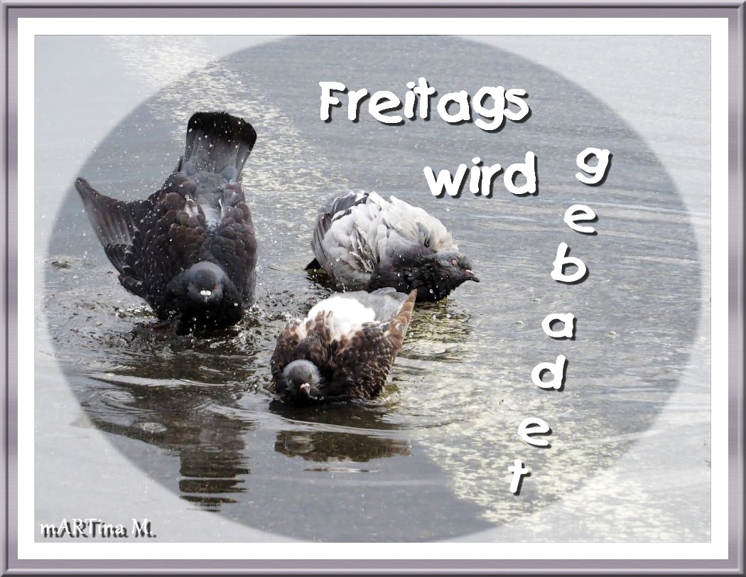 Freitags... (mit Gedicht)